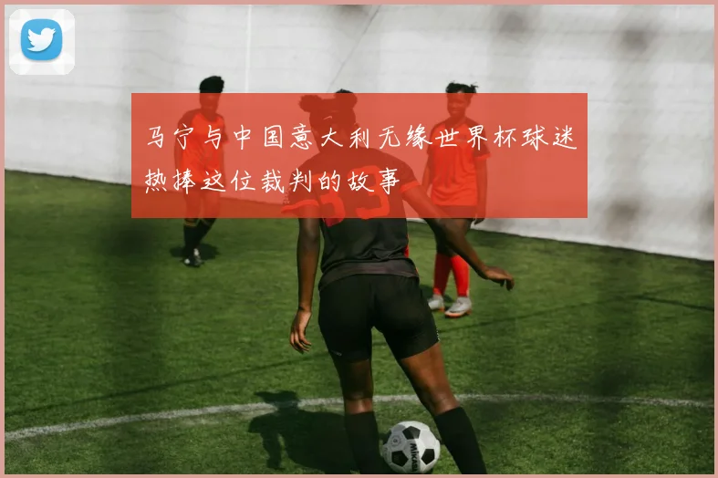马宁与中国意大利无缘世界杯球迷热捧这位裁判的故事