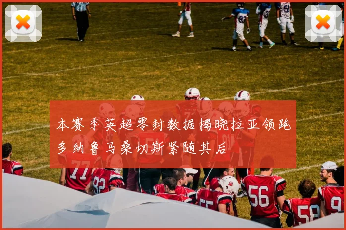 本赛季英超零封数据揭晓拉亚领跑多纳鲁马桑切斯紧随其后