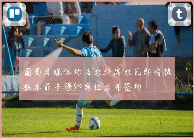 葡萄牙媒体称马尔科席尔瓦即将执教本菲卡穆帅离任后可签约