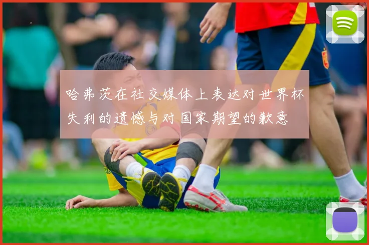 哈弗茨在社交媒体上表达对世界杯失利的遗憾与对国家期望的歉意